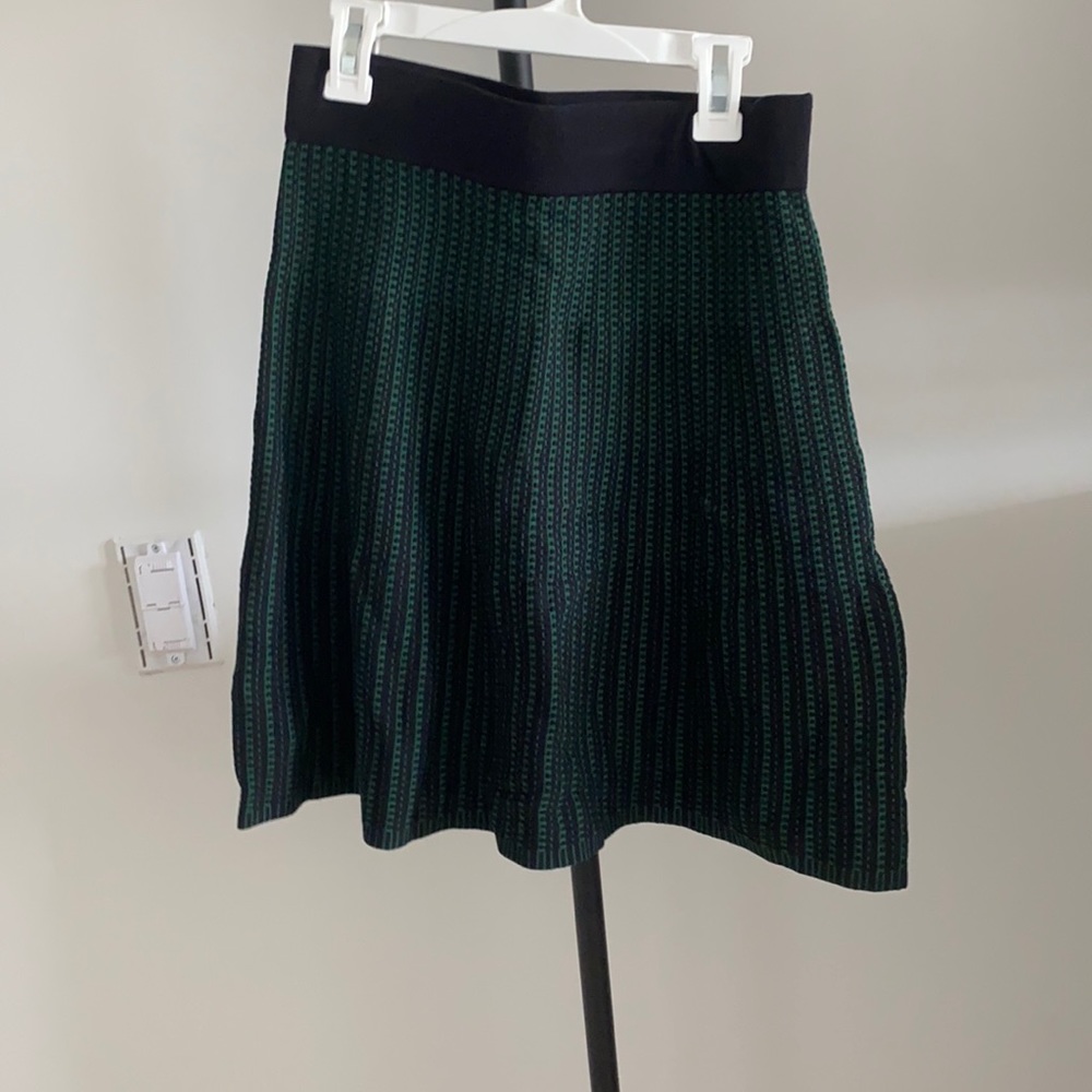 NWT Ann Taylor skirt